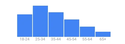 Age Breakdown — 25–34 Top Performing Segment