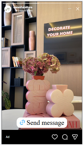Ewan Furniture — Instagram Story ad with 'Decorate Your Home' headline and elegant vase display