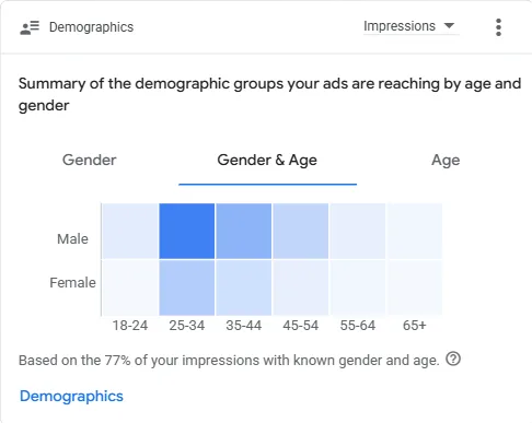 Google Ads — Audience Demographics