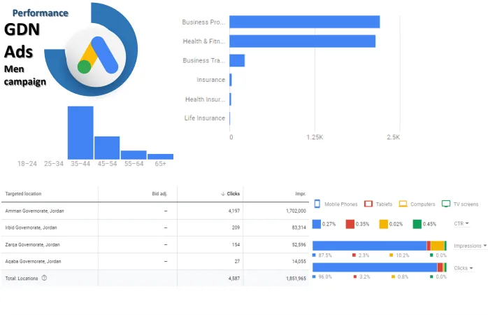 Men Campaign — Impressions, Clicks & Audience Breakdown