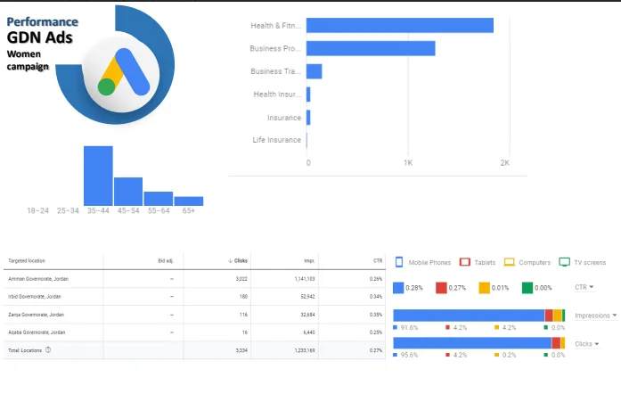 Women Campaign — Impressions, Clicks & Audience Breakdown